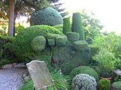 Internet: Paisajismo Jardinería
